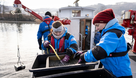 Filters and heat exchangers can protect infrastructures from clogging by mussels (Photo: Eawag, Linda Haltiner). Filters and heat exchangers can protect infrastructures from clogging by mussels (Photo: Eawag, Linda Haltiner).